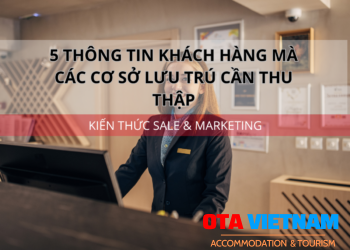 Ota Viet Nam 1200x900 Blog Kien Thuc Sale Va Marketing 5 Thong Tin Khach Hang Ma Cac Co So Luu Tru Can Thu Thap