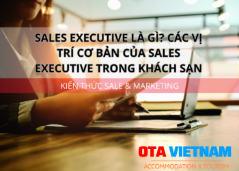 Ota Viet Nam 1200x900 Blog Kien Thuc Sale Va Marketing Sales Executive La Gi Cac Vi Tri Co Ban Cua Sales Executive Trong Khach San Nha Hang