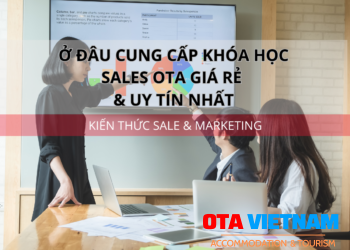 Ota Viet Nam 1200x900 Blog Kien Thuc Sale Va Marketing O Dau Cung Cap Khoa Hoc Sales Ota Gia Re Uy Tin Nhat