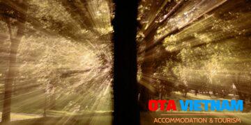 Growth hack và Growth không hack