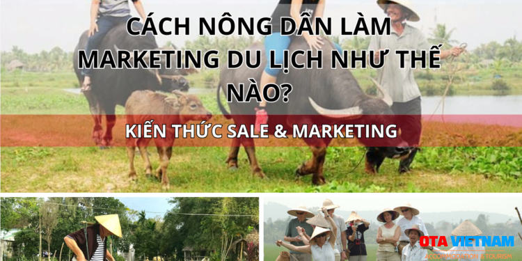 Ota Viet Nam Blog Kien Thuc Sale Va Marketing Cach Nong Dan Lam Marketing Du Lich Nhu The Nao
