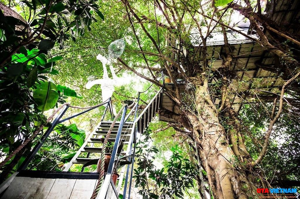 Ý tưởng làm homestay trên cây. khoi-nghiep-homestay-can-luu-y-gi