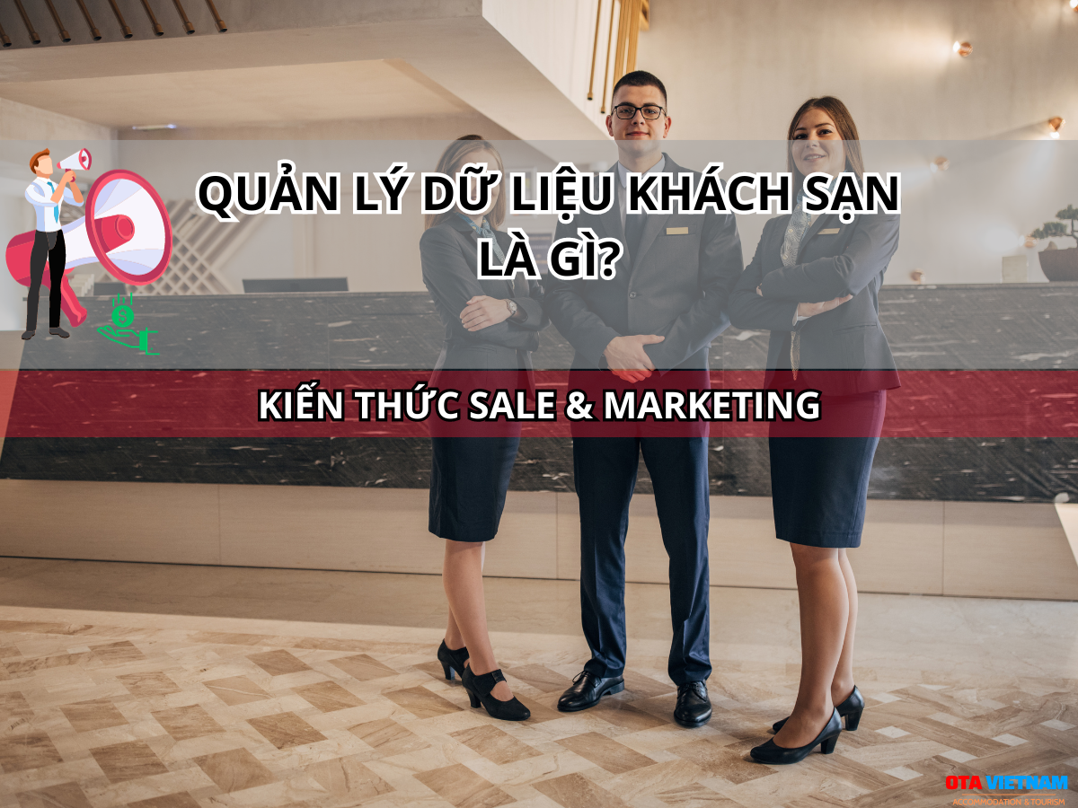Otavn Ota Viet Nam Website 03 Buoc Quan Ly Du Lieu Khach San Dung Dan Giup Toi Uu Van Hanh Khai Niem