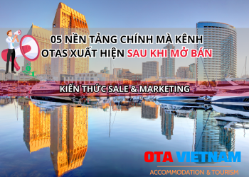 Otavn Ota Viet Nam Website 05 Nen Tang Chinh Ma Kenh Otas Xuat Hien Sau Khi Mo Ban