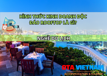 Otavn Ota Viet Nam Website Hinh Thuc Kinh Doanh Doc Dao Rooftop La Gi 1