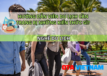 Otavn Ota Viet Nam Website Huong Dan Vien Du Lich Can Trang Bi Nhung Kien Thuc Gi