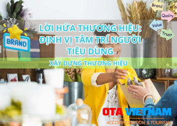 Otavn Ota Viet Nam Website Loi Hua Thuong Hieu Dinh Vi Tam Tri Nguoi Tieu Dung