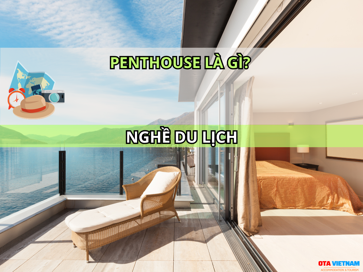 Otavn Ota Viet Nam Website Penthouse La Gi 2