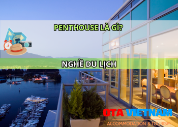 Otavn Ota Viet Nam Website Penthouse La Gi