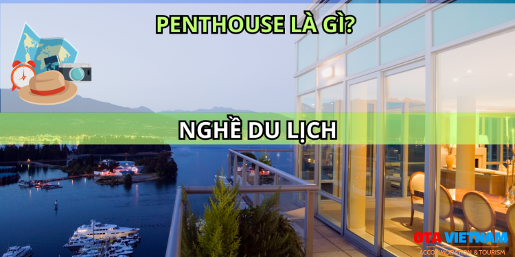 Otavn Ota Viet Nam Website Penthouse La Gi
