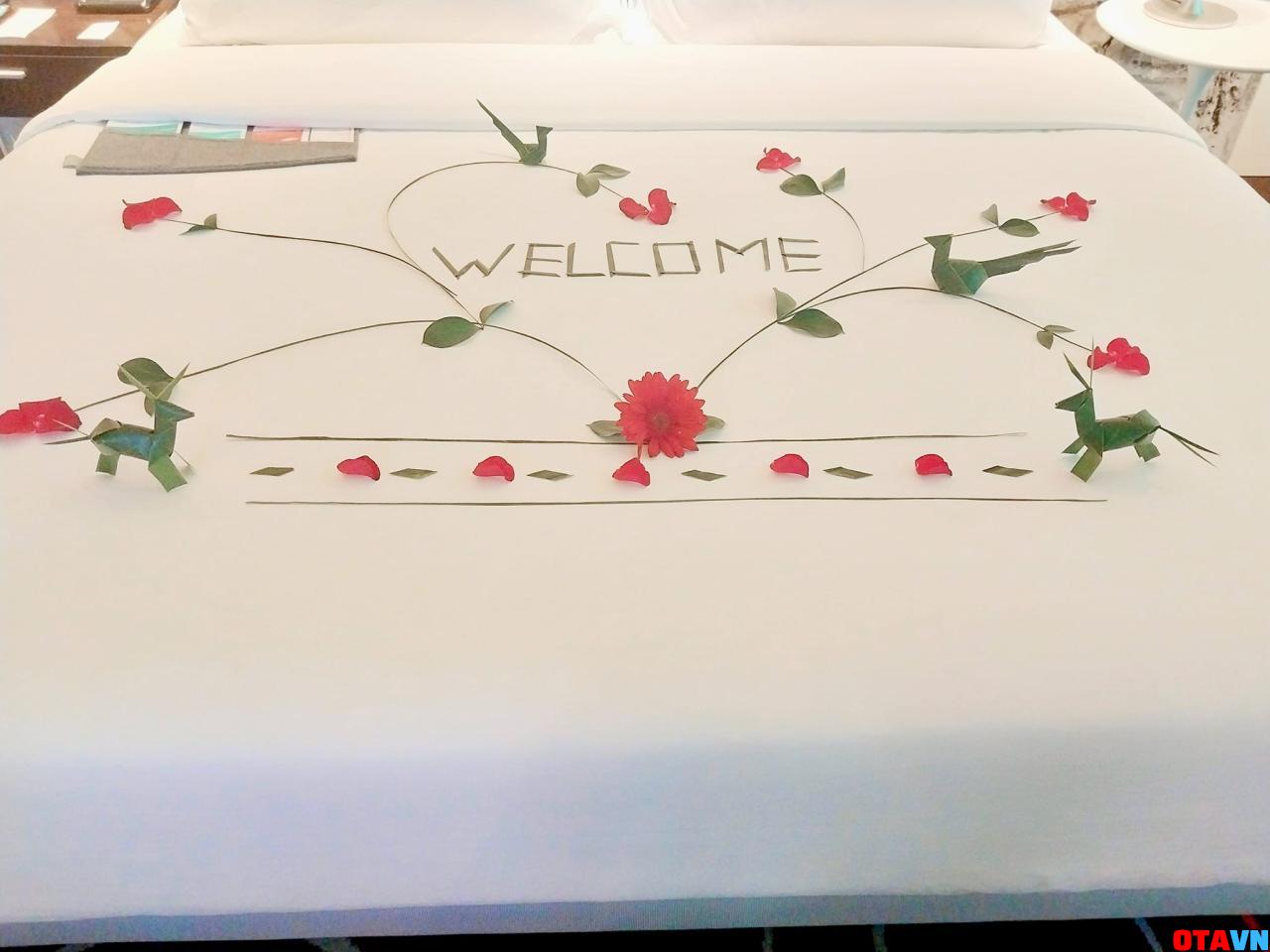 setup welcome tại phòng khách sạn