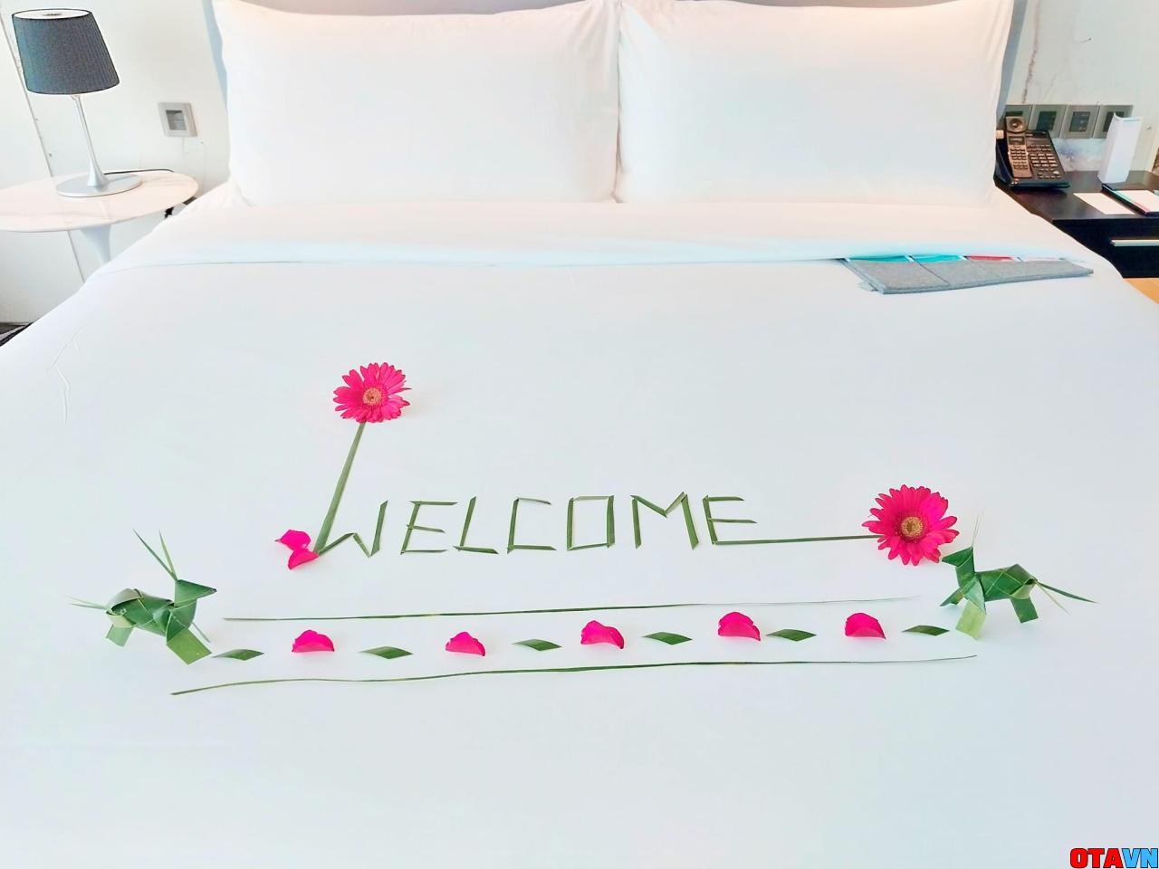 setup welcome tại phòng khách sạn