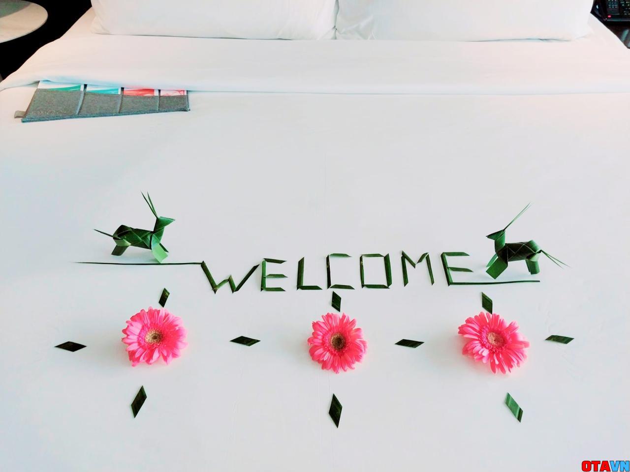 setup welcome tại phòng khách sạn