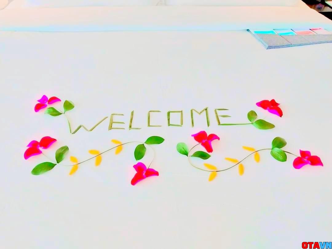 setup welcome tại phòng khách sạn