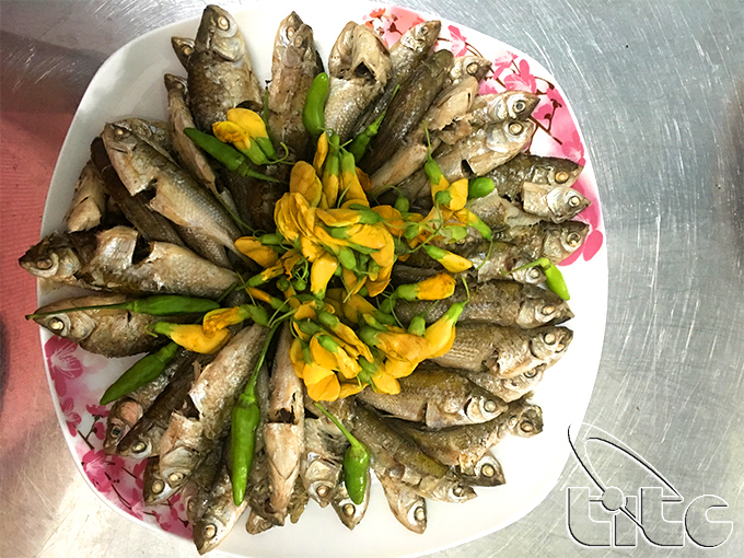 00alau-ca-linh18_1