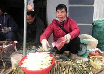 0104mang Sat Dac San Nui Rung Yen Bai