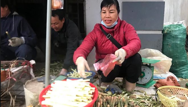 0104mang Sat Dac San Nui Rung Yen Bai