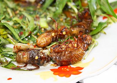 0anhong-ve-ngon