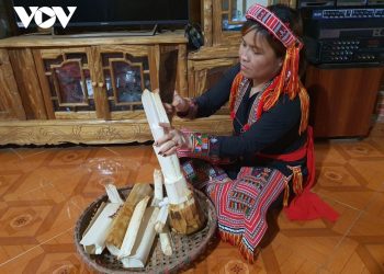 1005mon Dac San Tu Cu Tao Cua Nguoi Dao Do Yen Bai