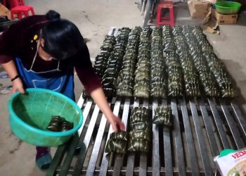 1005thanh Pho Ha Giang Voi Nhieu Loai Banh Hap Dan1