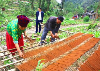 1105nghe Lam Huong Truyen Thong O Sang Tung Ha Giang