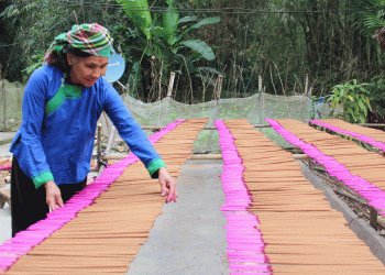 112nguoi Giay Hop Thanh Luu Giu Nghe Lam Huong 1