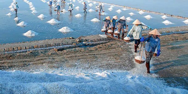 117 Tao Cu Huych De Thuong Hieu Muoi Bac Lieu Phat Trien Ben Vung 1