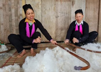 1312nguoi Dao Tuyen Ban Mo Bao Ton Nghe Det Vai