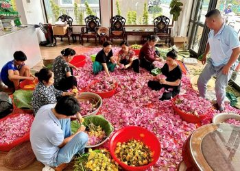 148 Phat Huy Gia Tri Hoa Sen Tay Ho 1