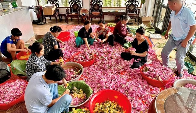 148 Phat Huy Gia Tri Hoa Sen Tay Ho 1