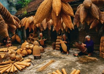 158 Giu Gin Nghe Dan Do Hang Tram Nam Tai Hung Yen 1