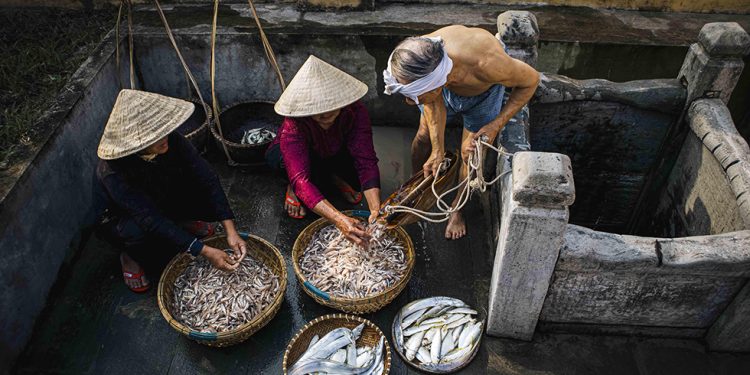 173can Canh Lang Nghe Nuoc Mam Nam O Da Nang 4