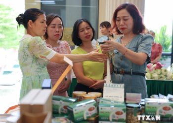 177 Ha Noi Phat Trien Cac Lang Nghe Co San Pham Tu Sen 1