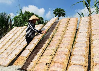 198 Tay Ninh Ton Vinh Quang Ba Nghe Lam Banh Trang Phoi Suong 1