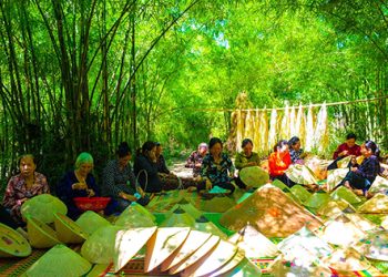 218 Tinh Khoi Non Ngua Phu Gia 1