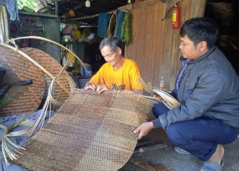 2212 Giu Lua Nghe Dan Lat Cua Nguoi Ta Rieng Quang Nam