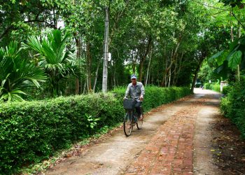 228binh Yen Lang Co Phuoc Tich