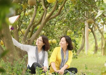 242du Lich Lang Nghe Gan Trai Nghiem Nong Nghiep Dinh Hinh Duong Di Moi Cho Vung Trung Phu Xuyen 1