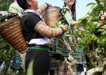 247thuong Tra 1