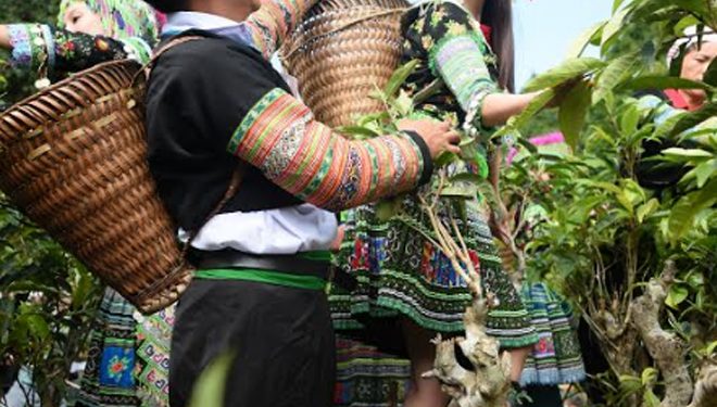 247thuong Tra 1