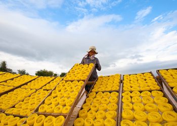 257 Tour Kham Pha Lang Nghe An Nhon