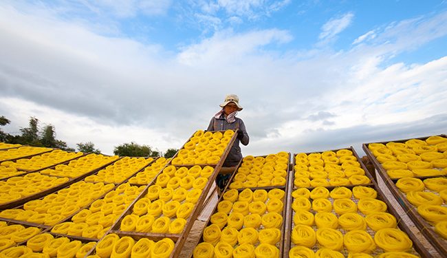 257 Tour Kham Pha Lang Nghe An Nhon