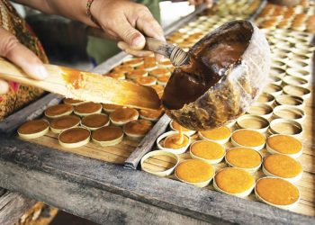 257doc Dao Nghe Nau Duong Thot Not O Kien Giang