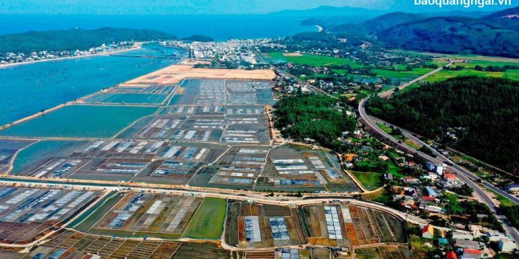 274 Quang Ngai Phat Trien Nghe Muoi Sa Huynh Gan Voi Du Lich 1