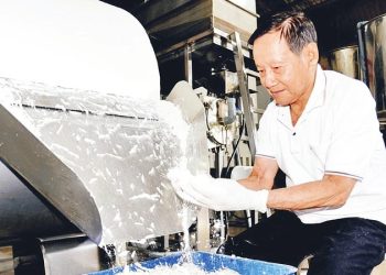 293 Di San Quoc Gia Lang Nghe Bot Gao O Dong Thap