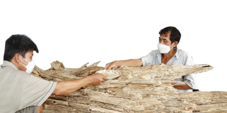 311lang Nghe Xoi Tram O Van Ninh Can Them Cu Hich De Phat Trien 1