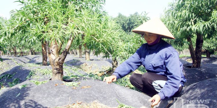 317 Huong Di Moi Trong Phat Trien Lang Nghe O Thai Nguyen