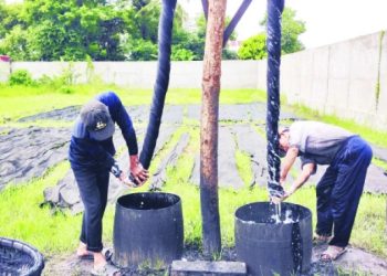 35an Giang Thang Tram Nghe Lua My A