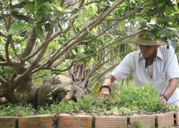 54 Kham Pha Lang Mai Doc Dao O Mien Tay 1