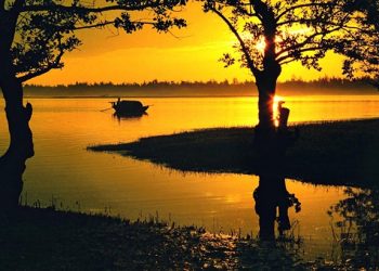 79ha Tinh Ve Tham Lang Co Tien Dien 4